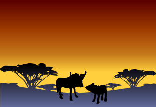 アフリカの動物の絵本