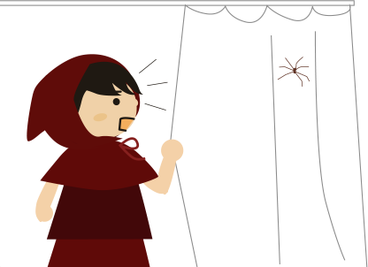 カーテンに大きな蜘蛛が