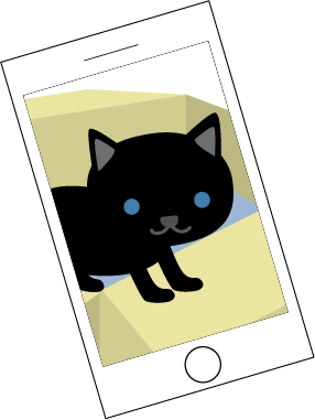 iPhoneに猫の写真