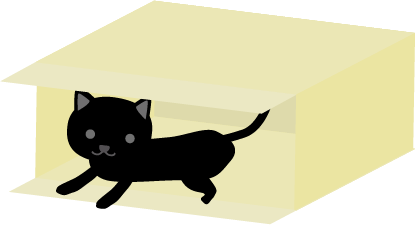黒猫（子猫）in ダンボール