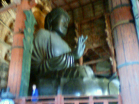 大仏