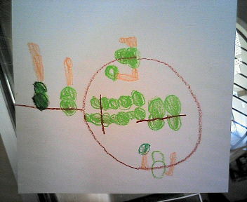 運動会の俯瞰図