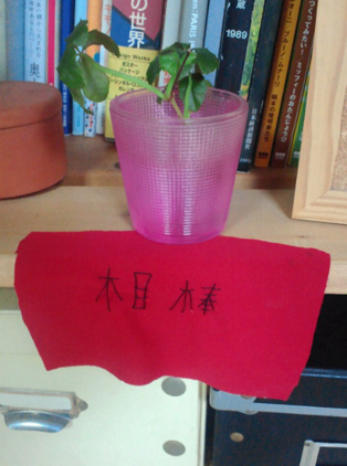 完成!・・って、相棒!?