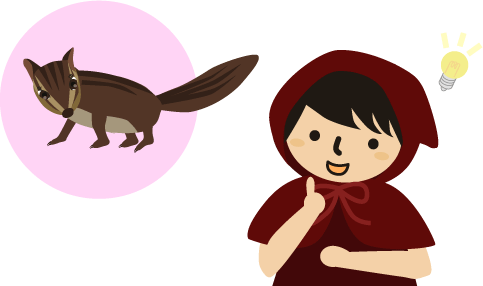 シマリスでもOKかも