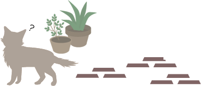 立ち去って行く猫