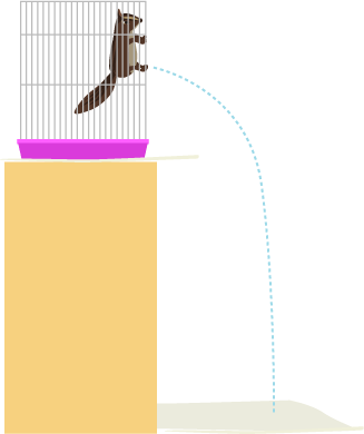 ケージにつかまってオシッコ