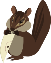 シマリス（お食事中）