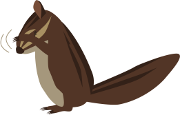 シマリス（顔をあらう）