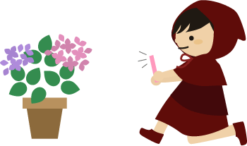 写真をパシャリ