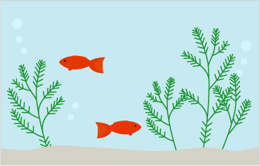 水槽に金魚が二匹