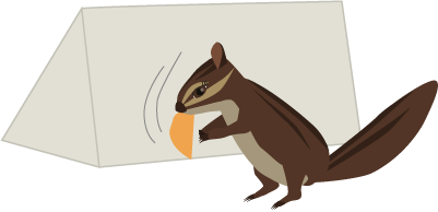 みかんを持って