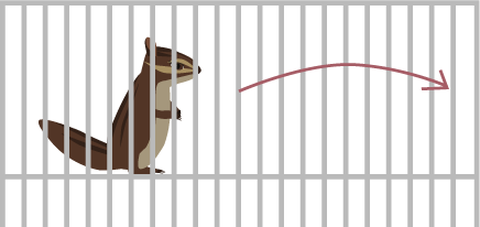 シマリスジャンプ