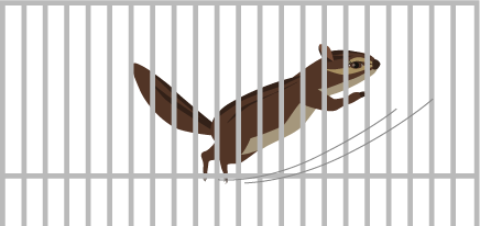 リスが飛んでみたものの