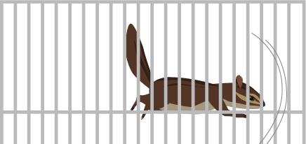 足が引っかかって