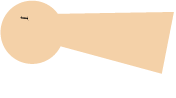 ムシをもつ