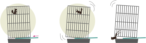 手が滑ってリスが脱走