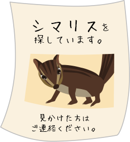 探しリス張り紙