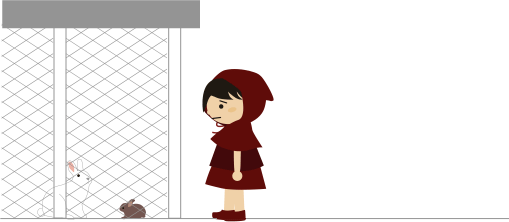 引っ越しでうさぎとお別れ