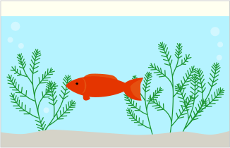 赤い金魚