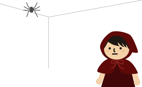 部屋に大きな蜘蛛が