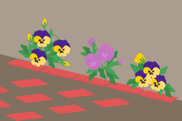 植え込みの花