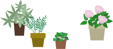 植物たち