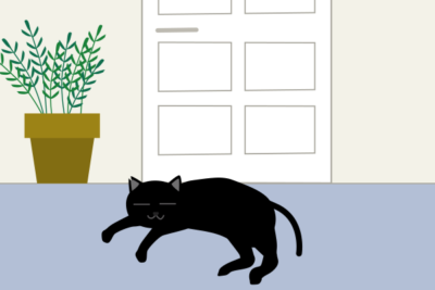 玄関前に黒猫