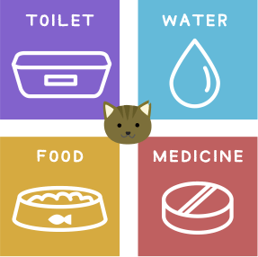 猫のトイレ、お水、ご飯、薬