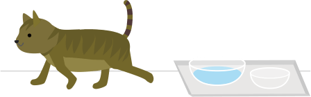 猫が水を飲んだ後