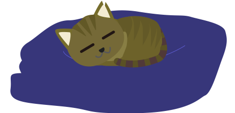 スヤスヤ眠る猫