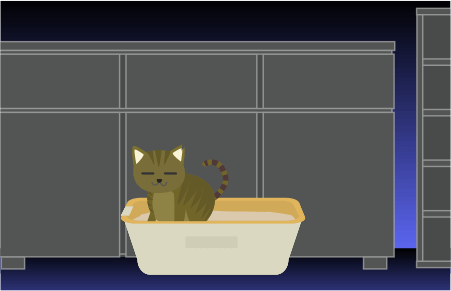 夜中にトイレをする猫