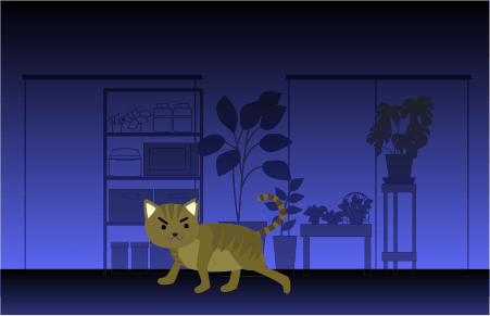 夜中に家の中をパトロールする猫