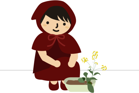 小松菜の花を見る