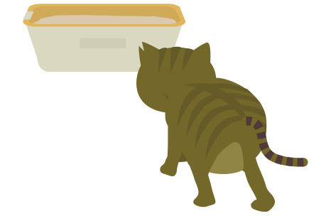猫がトイレに行く