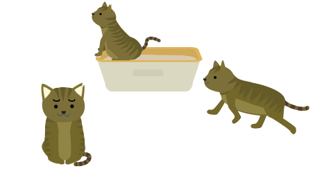猫の様子がおかしい