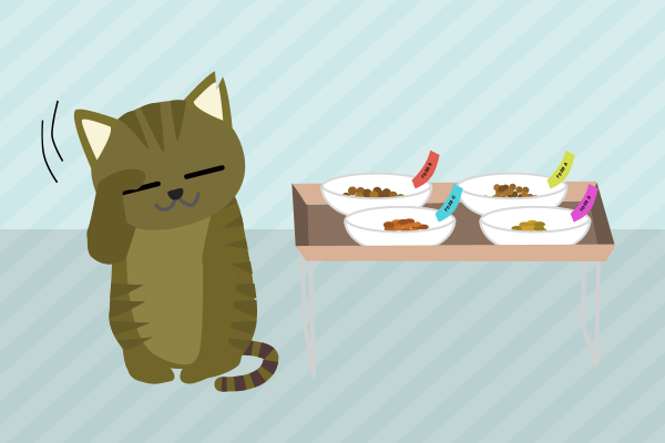 猫とご飯