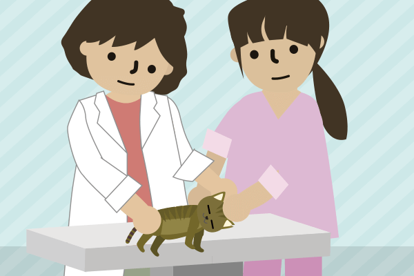 どうぶつ病院で診察