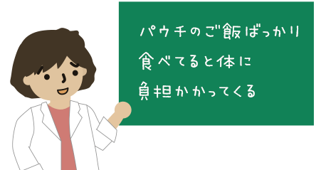 パウチのご飯ばかりだと猫の体には負担が大きい