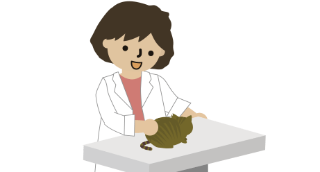 動物病院の先生と猫