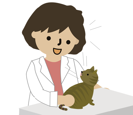動物病院の先生と猫