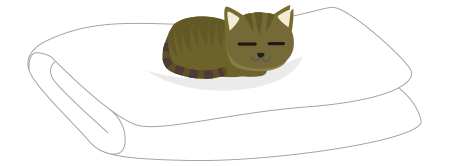 布団の上の猫