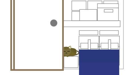 押入れの下で寝てる