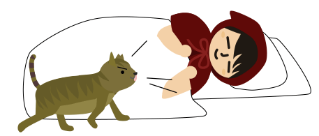 猫がお越しに来る