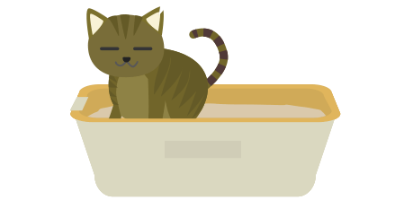 猫がトイレしてる