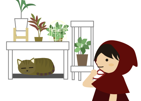 いつも通りの猫