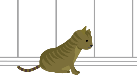 ボーゼンとしてる猫