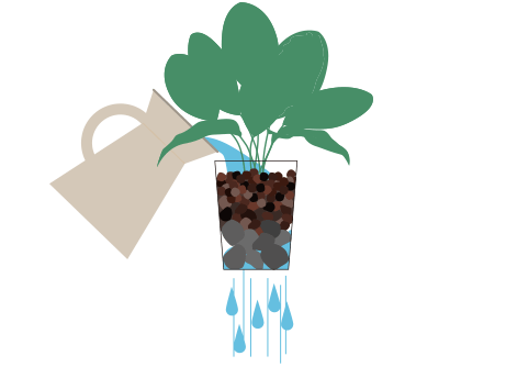 水やり