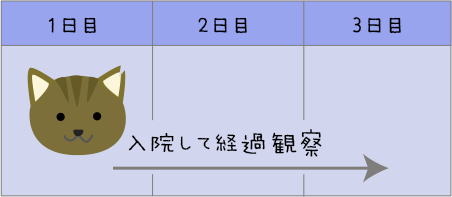 3日間の入院予定