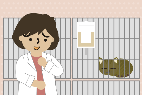 猫が入院