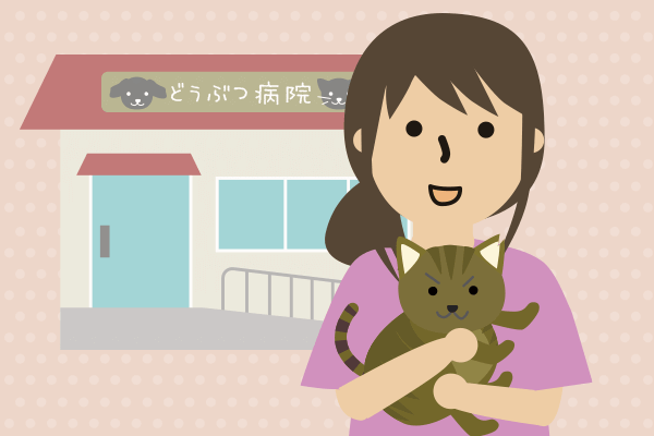動物病院と猫